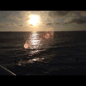 Meet your Posher, Dakota